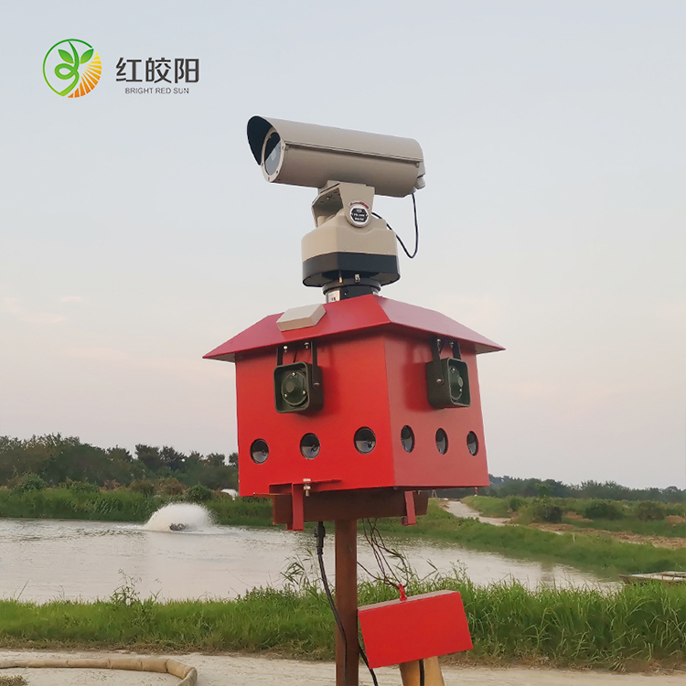 紅皎陽智能激光語音驅(qū)鳥器TKJY3超聲波角度360°驅(qū)鳥設(shè)備生產(chǎn)廠家