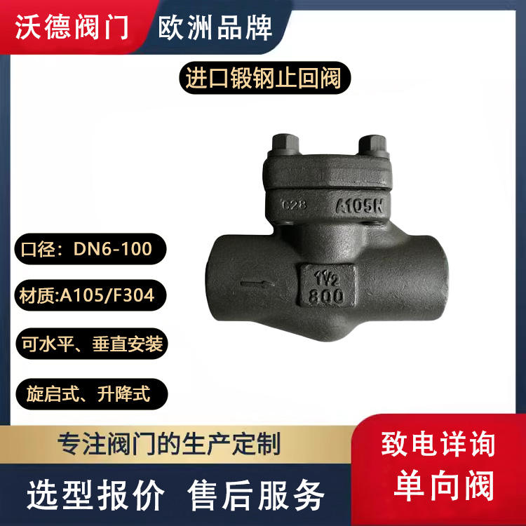 進(jìn)口鍛鋼止回閥A105單向閥高壓型零泄漏F304材質(zhì)德國(guó)沃德WODE