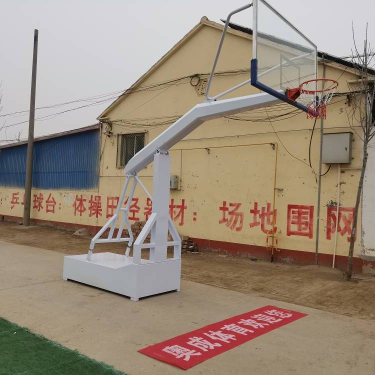 成人籃球架戶外標(biāo)準(zhǔn)可移動家用室外訓(xùn)練比賽落地式學(xué)?；@球框