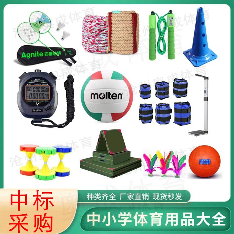 學(xué)校運動會器材初中用鉛球中小學(xué)中標采購達標體育教學(xué)設(shè)備