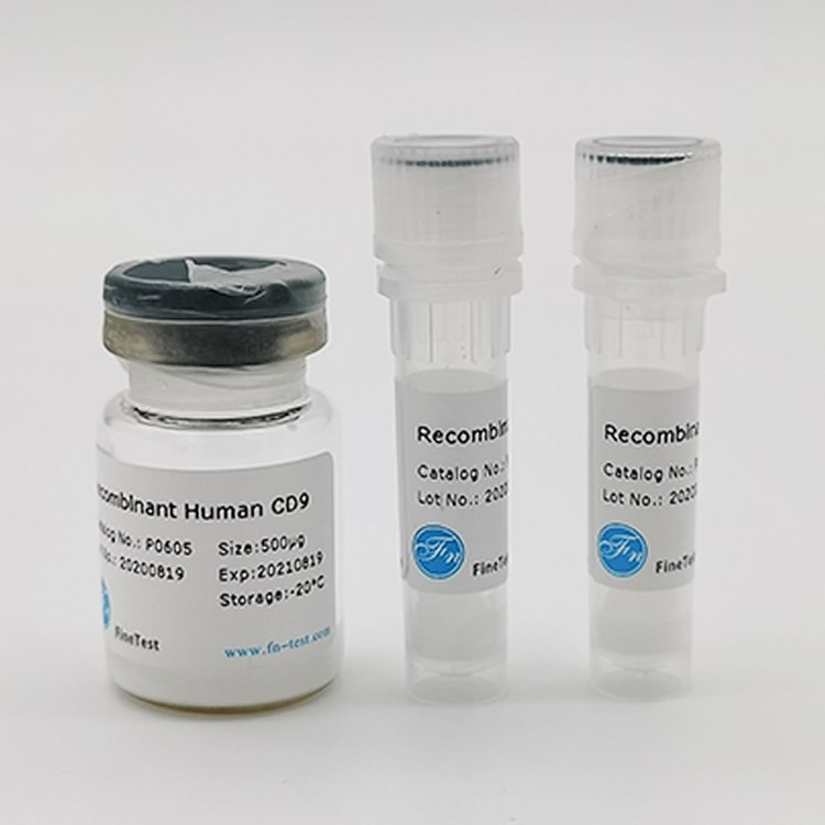 ԴFURINؽM(RecombinantHumanFURIN)