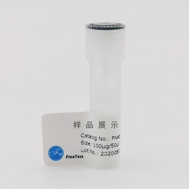 HBS1Lw(anti-HBS1Lantibody)