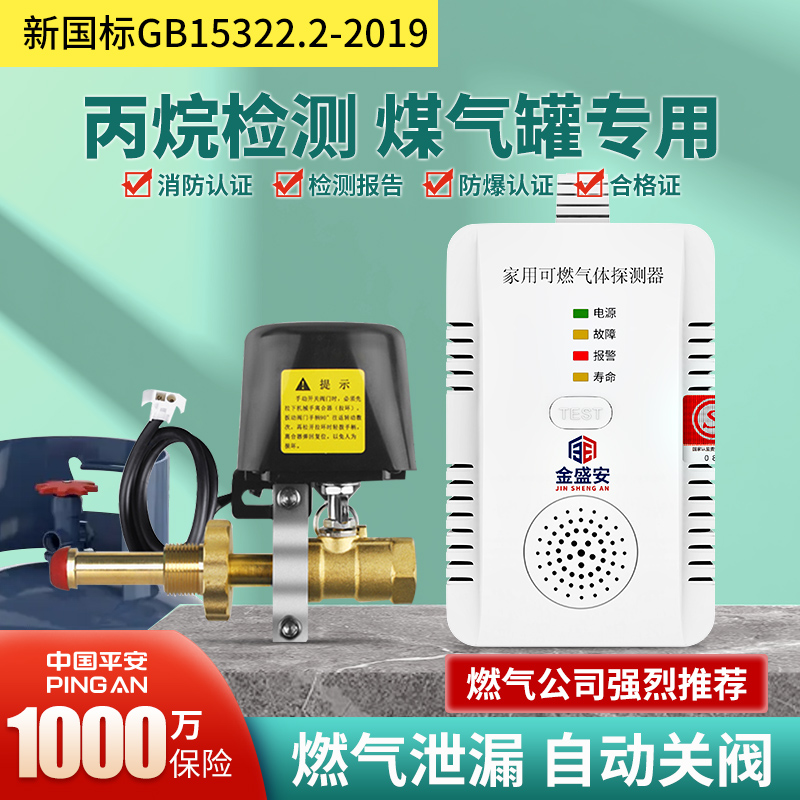 金盛安工廠(chǎng)家用燃?xì)庖夯瘹獗樘烊粴庖谎趸济簹庑孤短綔y(cè)報(bào)警器