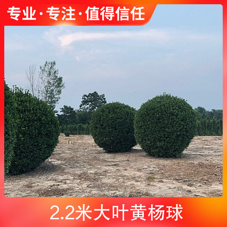 (yng)2.2״~SƷN@;ر,,Gh