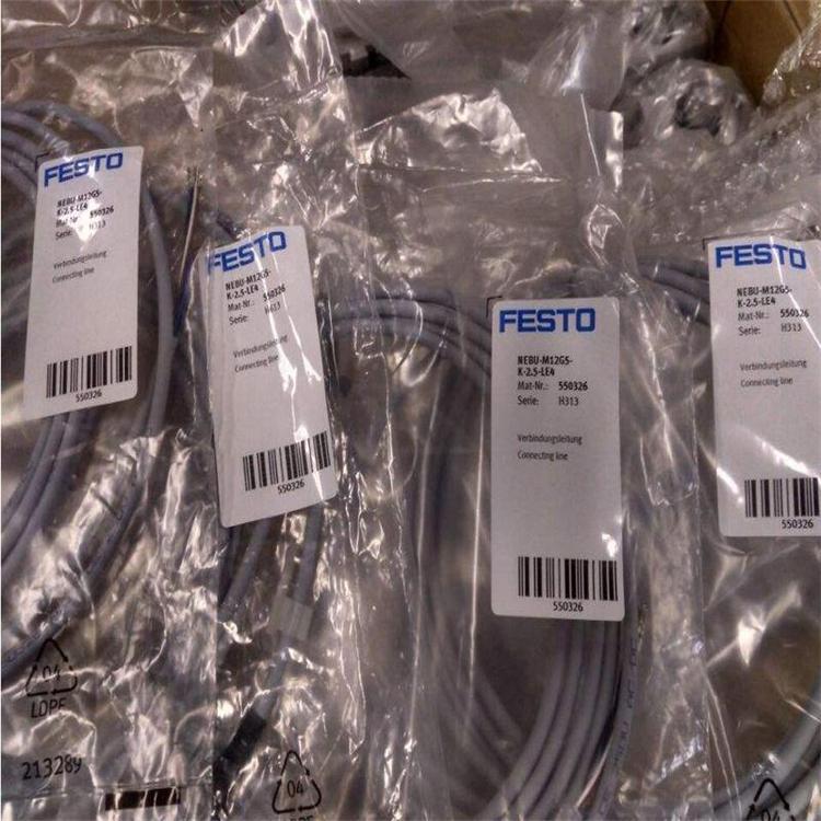 FESTOM˹늸8041821ELGA-BS-KF-70-600-0H-10P-ML