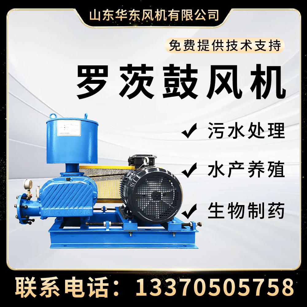 淡水高密度養(yǎng)殖用羅茨鼓風(fēng)機增氧機污水處理曝氣機高壓羅茨風(fēng)機