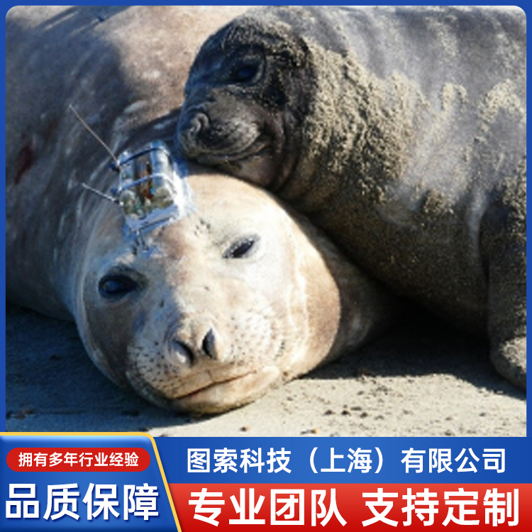 TDR10-X-340精細運動數據存檔標簽有多種配置可供選擇云瀧