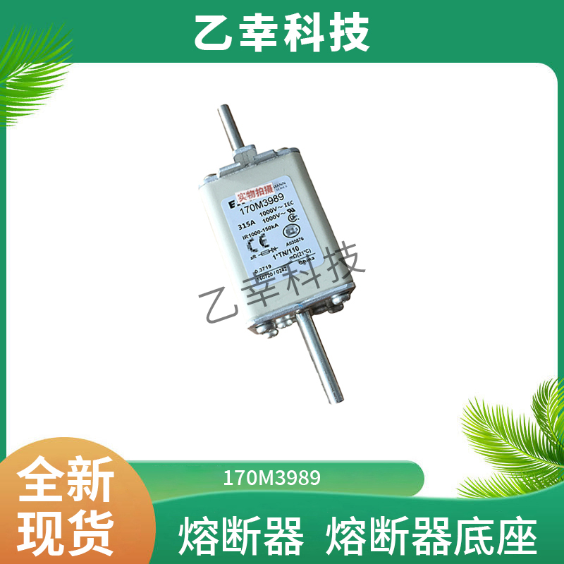 170M3989巴斯曼熔斷器bussmann特種保險絲電子元器件