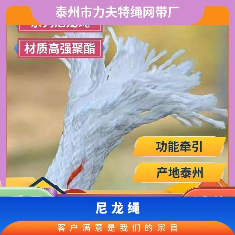 鋼絲芯救生安全繩火災(zāi)逃生繩應(yīng)急雙鉤繩高空作業(yè)尼龍繩子