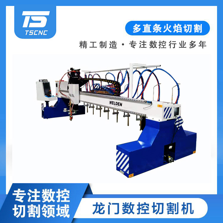 拓晟科技龍門(mén)火焰多頭直條切割機(jī)板材下料自動(dòng)切割等離子切割設(shè)備