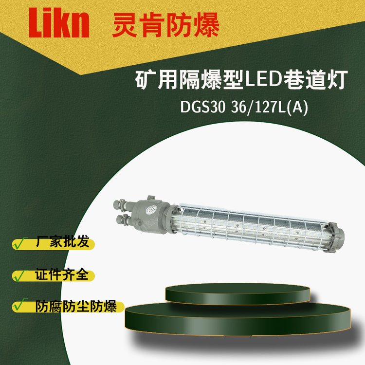廠(chǎng)家批發(fā)礦用隔爆型LED巷道燈DGS30\/127L(A)井下防爆照明燈電棒