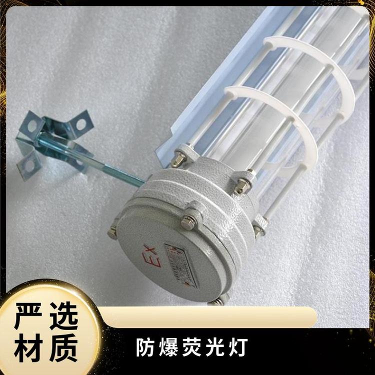 新黎明BPY防爆熒光燈聚碳合金注塑防水防塵應(yīng)用廣泛