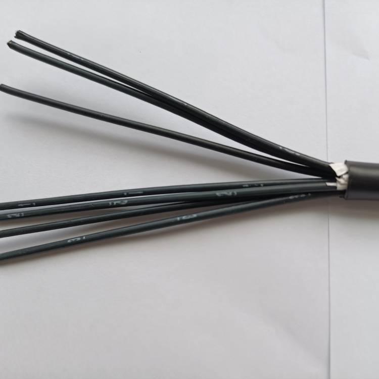 ZRAN-KFFP1-4*2.5皖鼎耀牌高溫控制電纜廠家直發(fā)