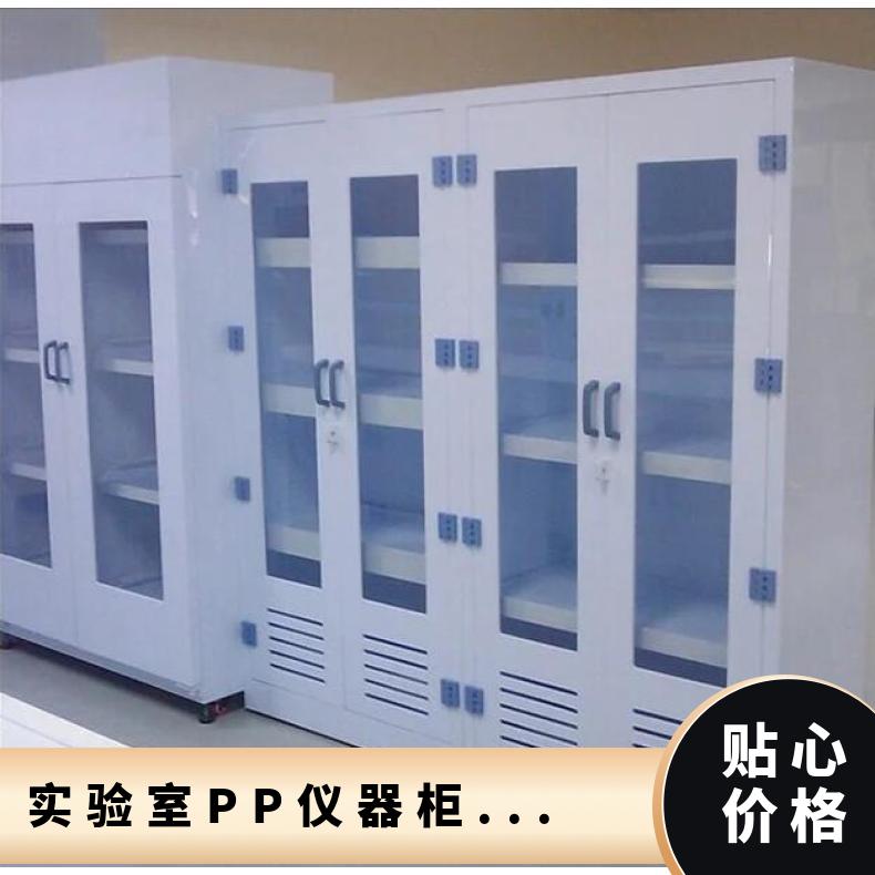 實(shí)驗(yàn)室PP儀器柜藥品柜通風(fēng)放置柜鋁木展示柜-思必得