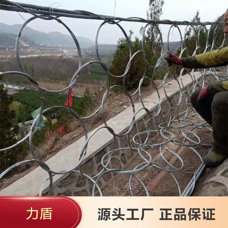 柔性鍍鋅邊坡防護網(wǎng)高強度鋼絲格柵類型齊全品質(zhì)保證