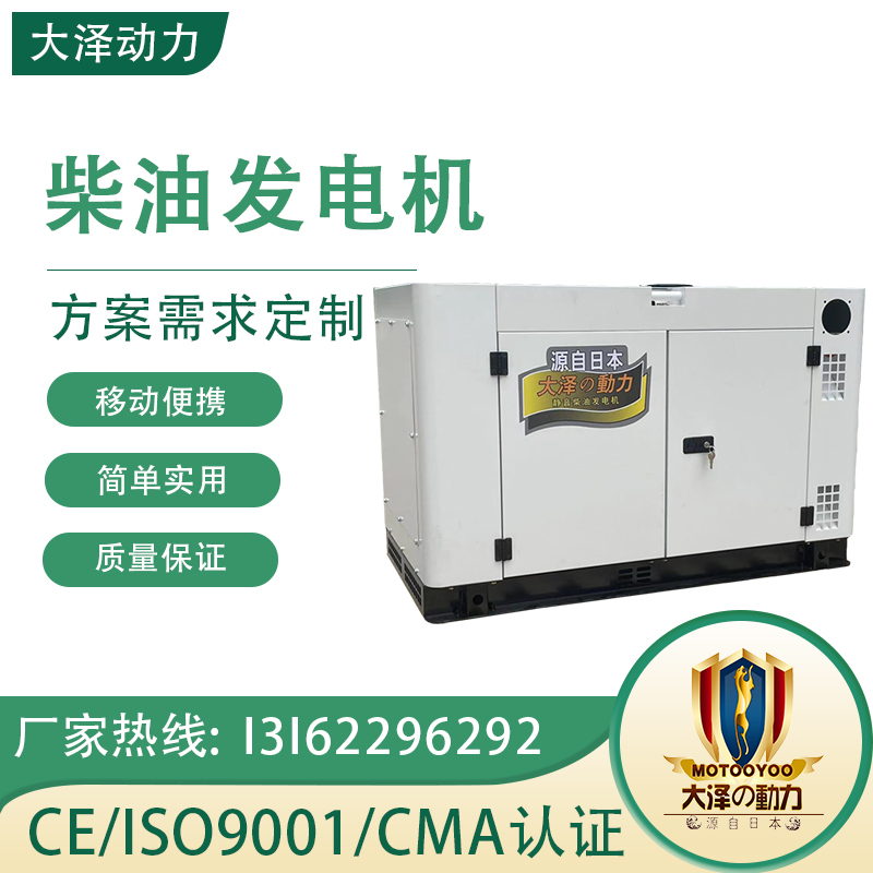 大澤動力15KW柴油發(fā)電機(jī)單三相發(fā)電穩(wěn)高原特種車輛定制TO18000ET