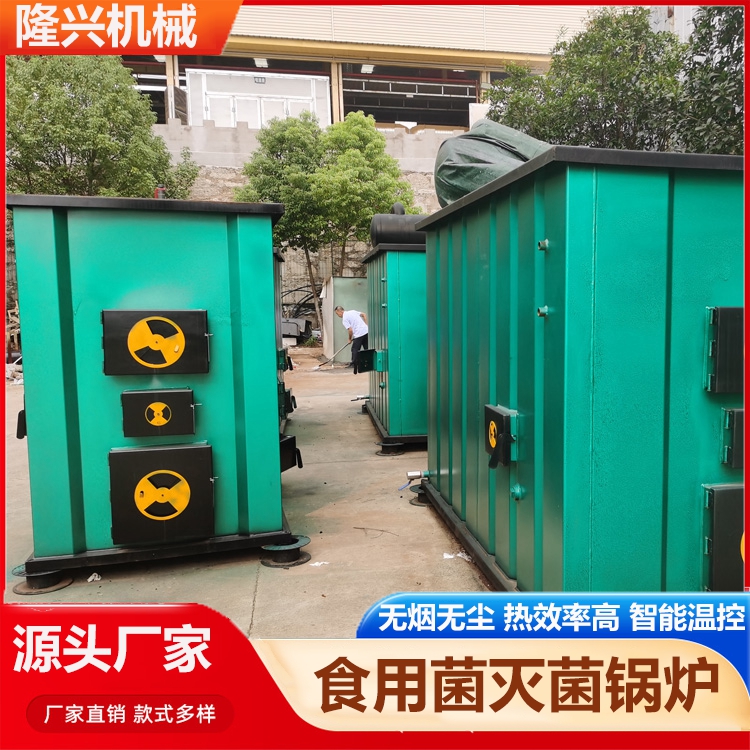 湖北恩施顆粒燃料蒸汽鍋爐食用菌專用滅菌鍋爐材質(zhì)優(yōu)良隆興機(jī)械H
