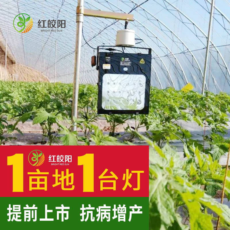 全光譜大棚甜瓜激光植物補光燈紅藍合成光譜智能溫室燈增溫補光